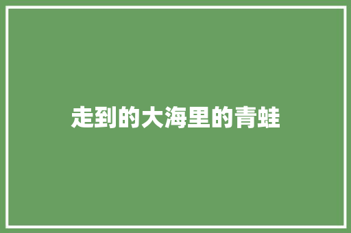 走到的大海里的青蛙