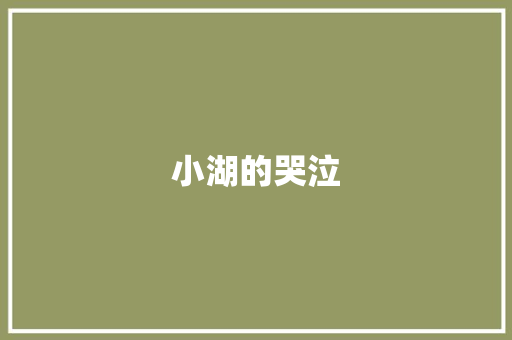 小湖的哭泣