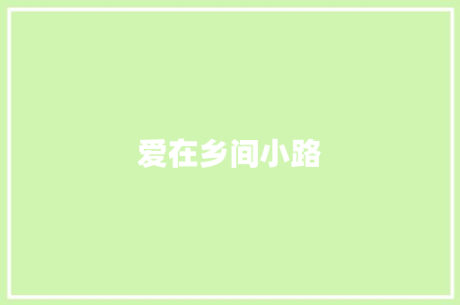 爱在乡间小路