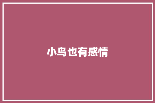 小鸟也有感情 知识百科