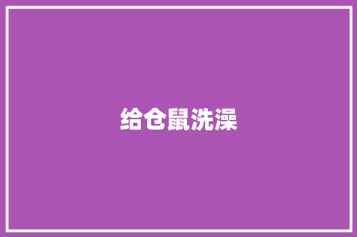 给仓鼠洗澡