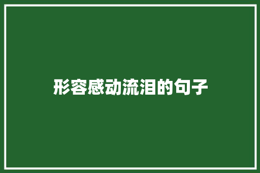 形容感动流泪的句子