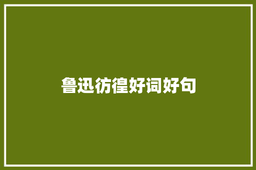 鲁迅彷徨好词好句