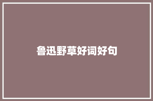 鲁迅野草好词好句