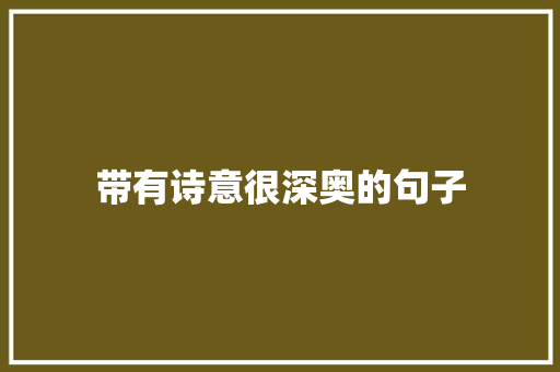 带有诗意很深奥的句子