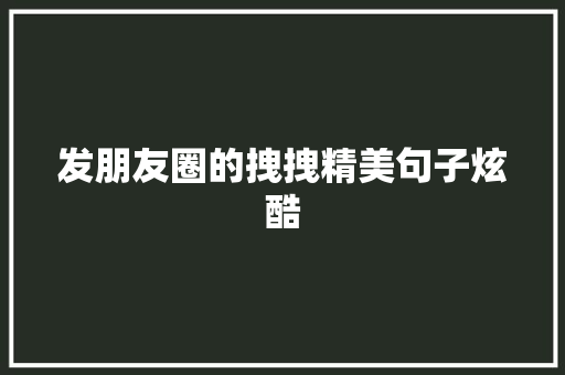 发朋友圈的拽拽精美句子炫酷