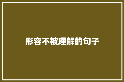 形容不被理解的句子