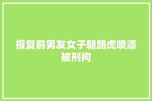 报复前男友女子朝路虎喷漆被刑拘 汽车知识