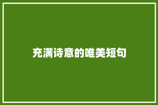 充满诗意的唯美短句