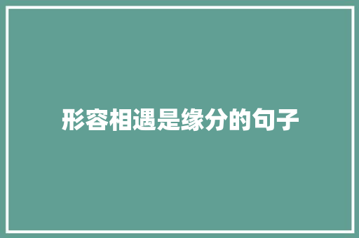形容相遇是缘分的句子