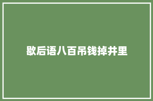 歇后语八百吊钱掉井里