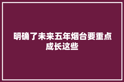 明确了未来五年烟台要重点成长这些