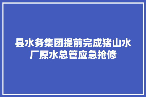 县水务集团提前完成猪山水厂原水总管应急抢修