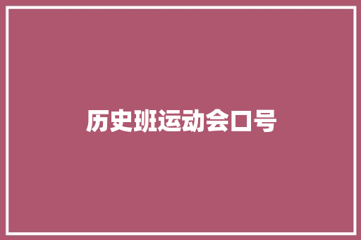 历史班运动会口号