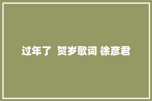 过年了  贺岁歌词 徐彦君