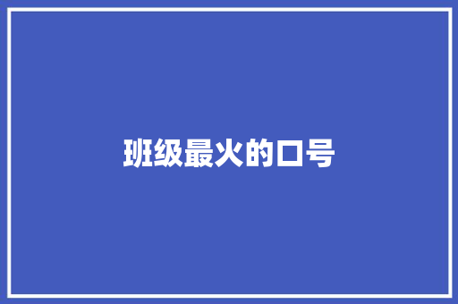 班级最火的口号