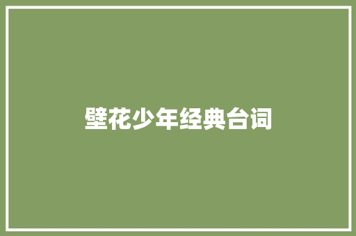 壁花少年经典台词