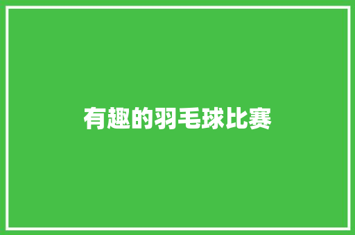 有趣的羽毛球比赛
