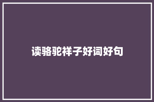 读骆驼祥子好词好句