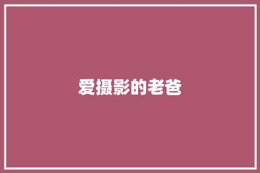 爱摄影的老爸