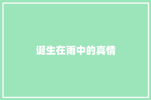 诞生在雨中的真情