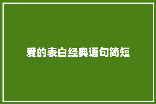 爱的表白经典语句简短