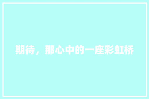 期待，那心中的一座彩虹桥