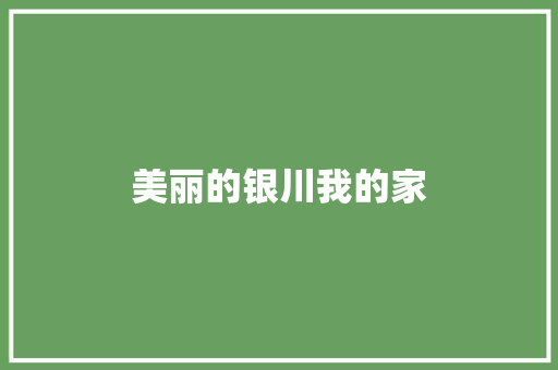 美丽的银川我的家