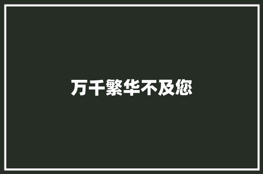 万千繁华不及您