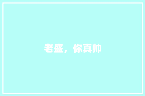 老盛，你真帅
