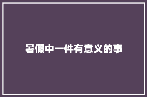 暑假中一件有意义的事