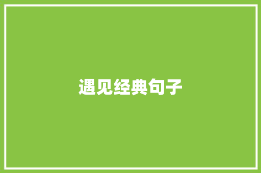 遇见经典句子