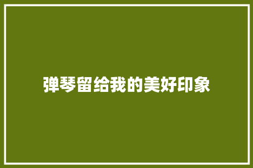 弹琴留给我的美好印象