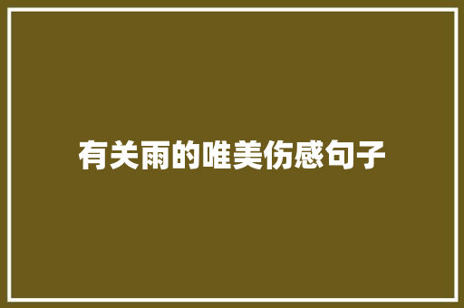 有关雨的唯美伤感句子