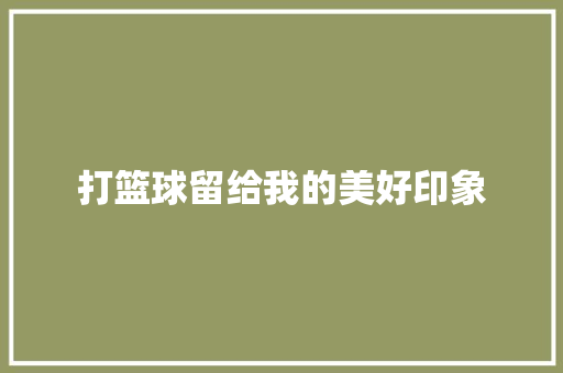 打篮球留给我的美好印象