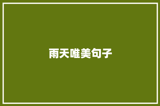 雨天唯美句子