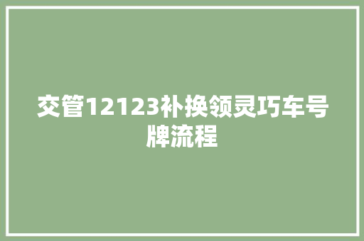 交管12123补换领灵巧车号牌流程 汽车知识