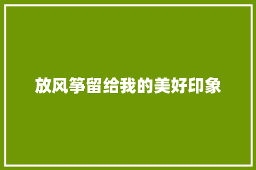 放风筝留给我的美好印象
