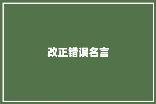 改正错误名言