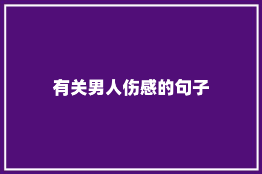 有关男人伤感的句子