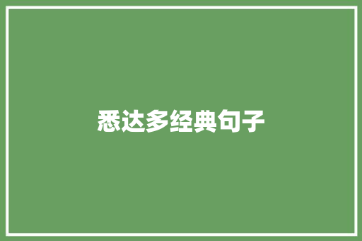 悉达多经典句子