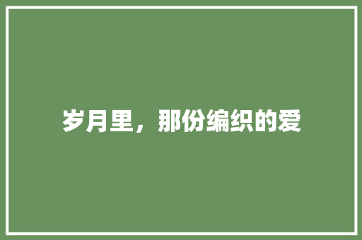 岁月里，那份编织的爱