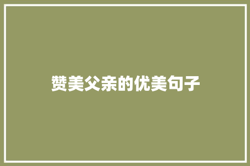 赞美父亲的优美句子