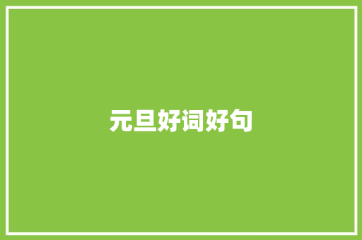 元旦好词好句