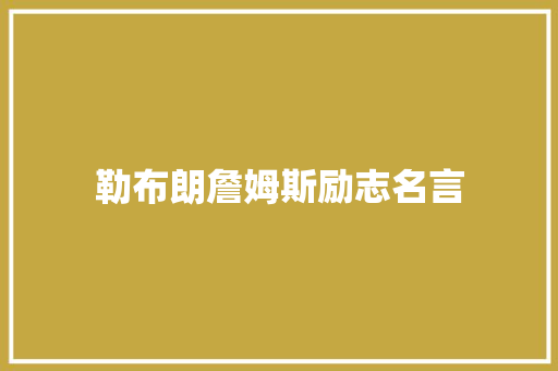勒布朗詹姆斯励志名言