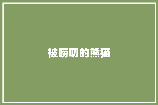 被唠叨的熊猫