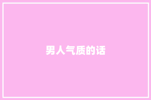 男人气质的话