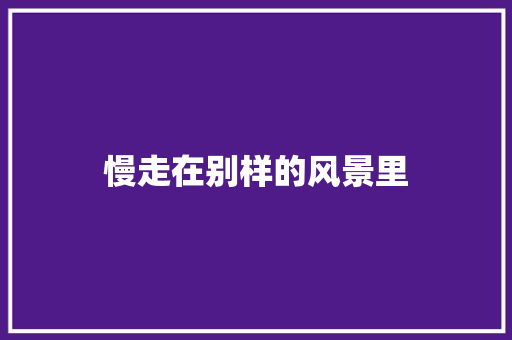 慢走在别样的风景里