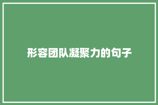形容团队凝聚力的句子
