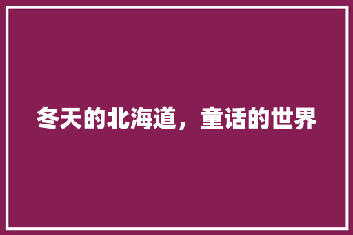 冬天的北海道，童话的世界